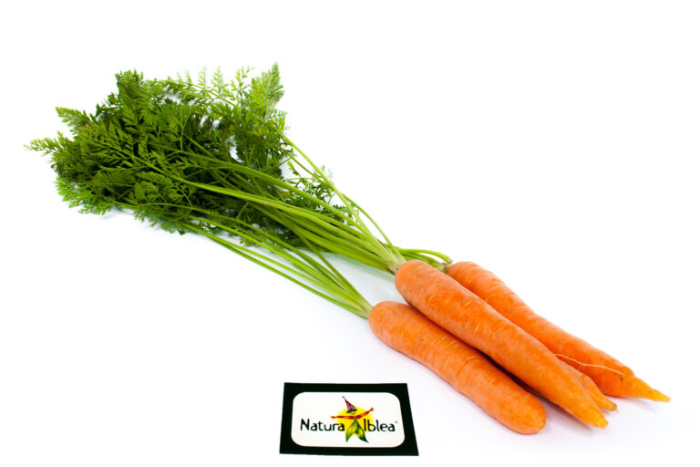 Carota novella CON LOGO