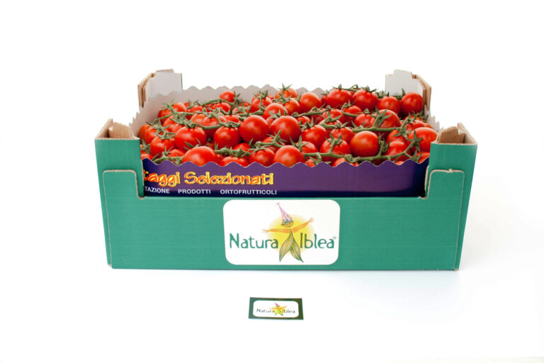 Ciliegino grappolo 6kg