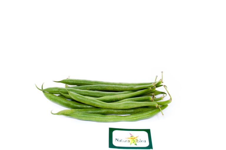 Fagiolino