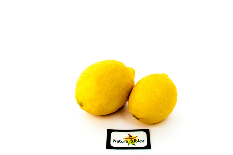 Limoni