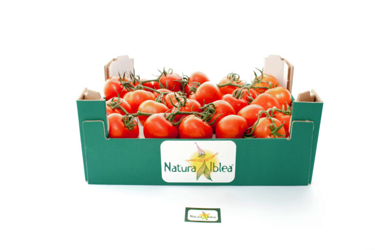 Pomodoro grappolo 6kg