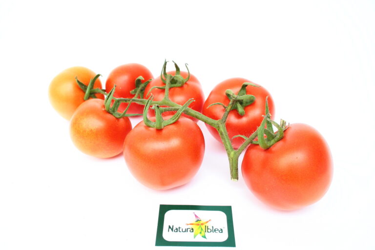 Pomodoro grappolo