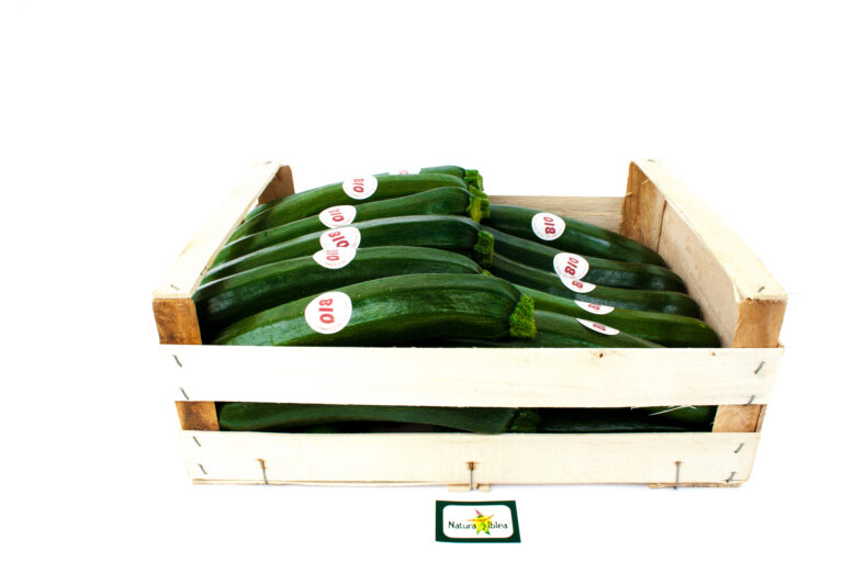 Zucchina 6kg cal.18-21 cassa legno