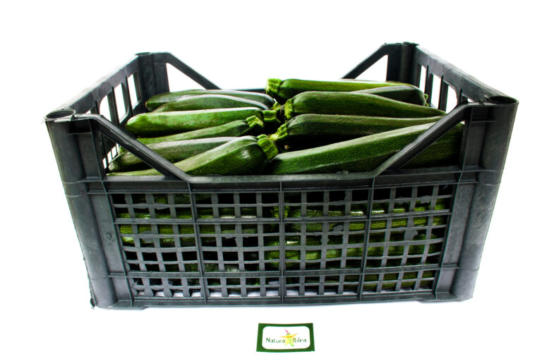 Zucchina mensa 9kg