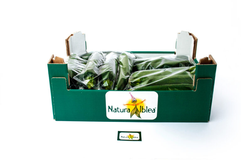 Zucchina vaschetta 6kg