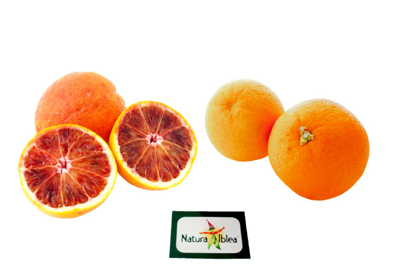 arance navel - tarocco